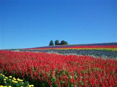 �y�G�[�XJTB�E�������s�z�k�C���c�A�[�E�k�C���̗��فE�z�e���\��@